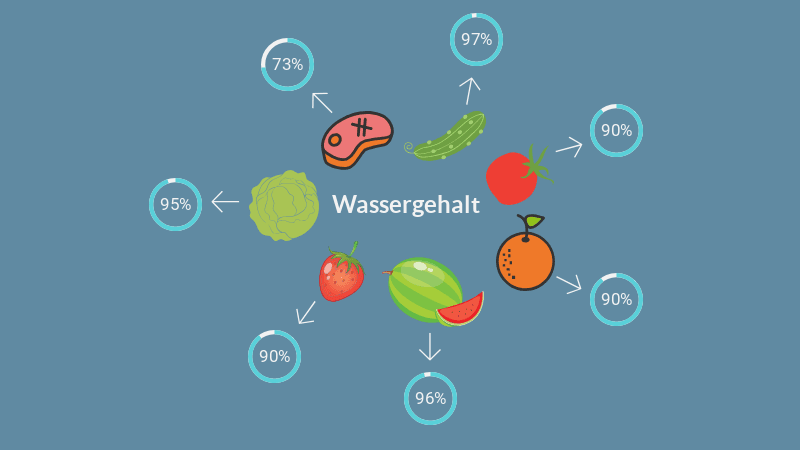 Wassergehalt von Obst und Gemüse