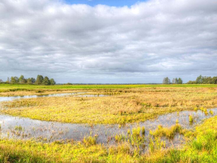 Wasser auf einem Feld