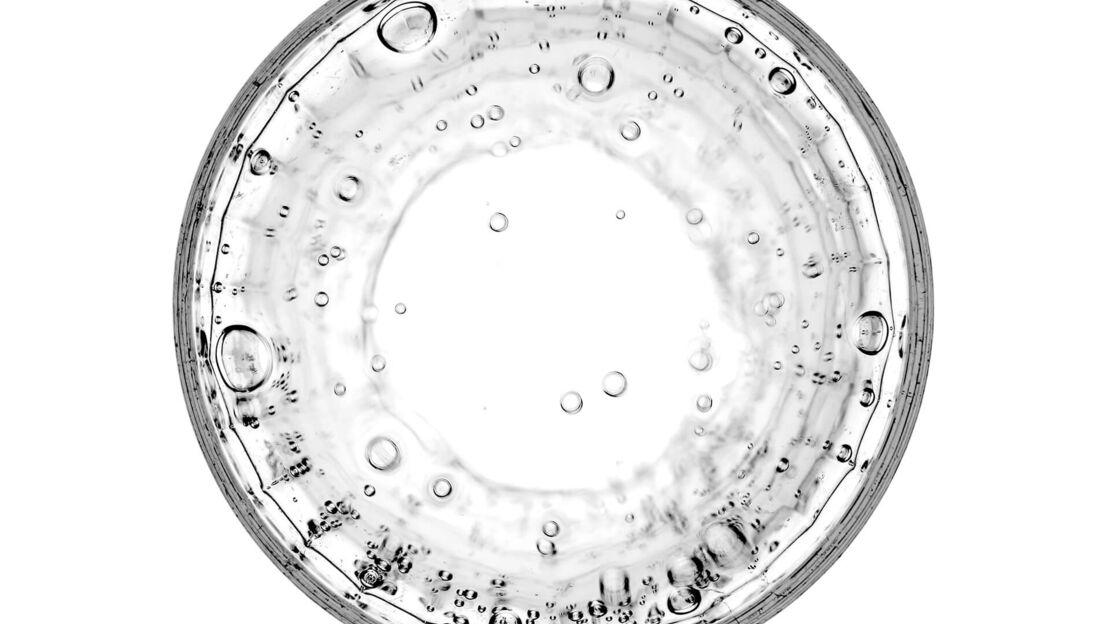 Mikroorganismus im Wasser unter dem Mikroskop