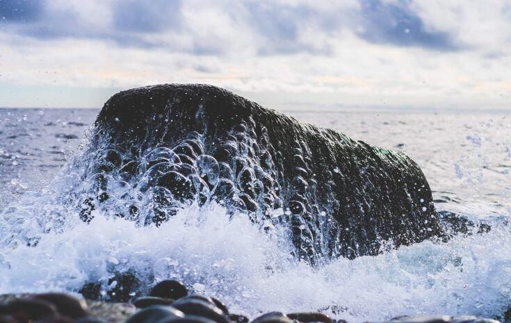 Felsen mit Wasser