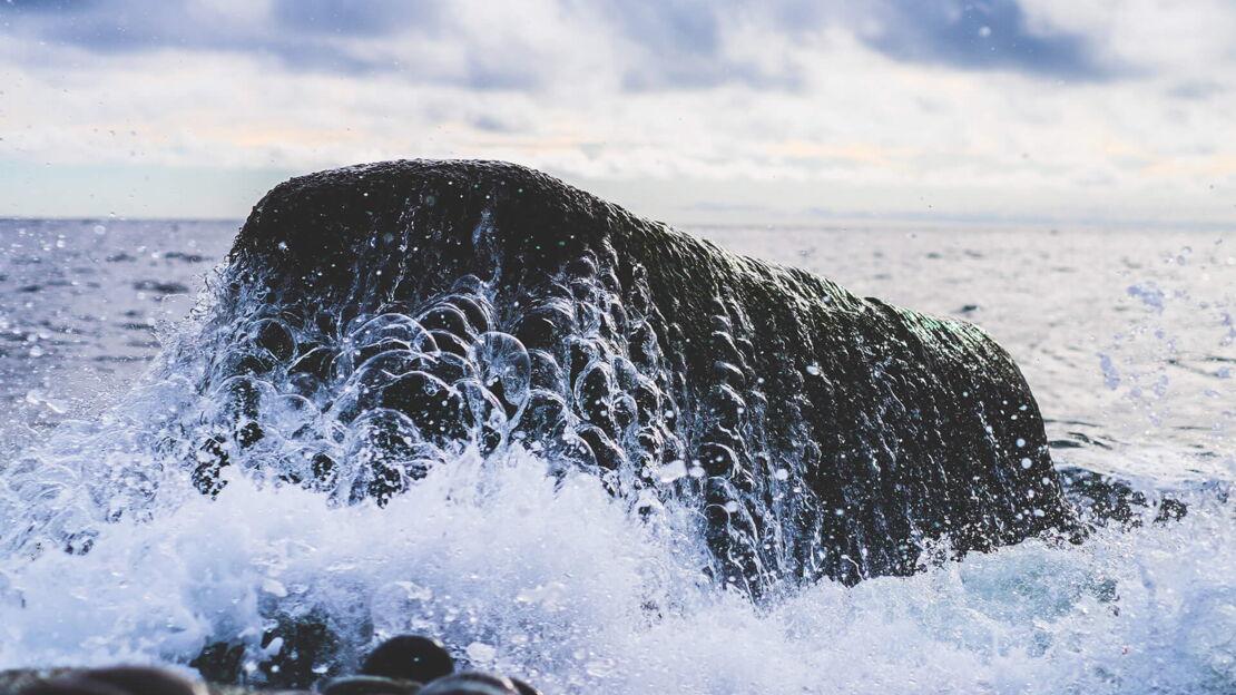 Felsen mit Wasser