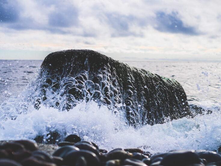 Felsen mit Wasser