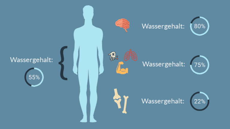 Zu Wenig Flüssigkeit Im Körper Symptome www.welltec-wasser.de