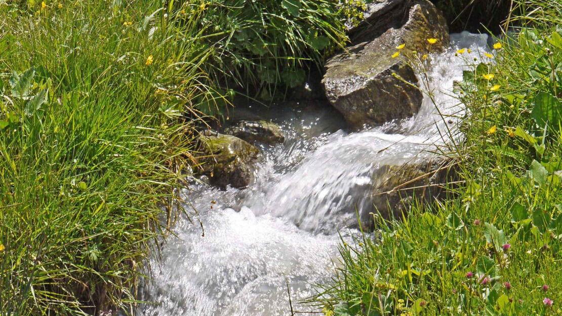 Bach aus Bergquelle mit grünem Wiesenbewuchs