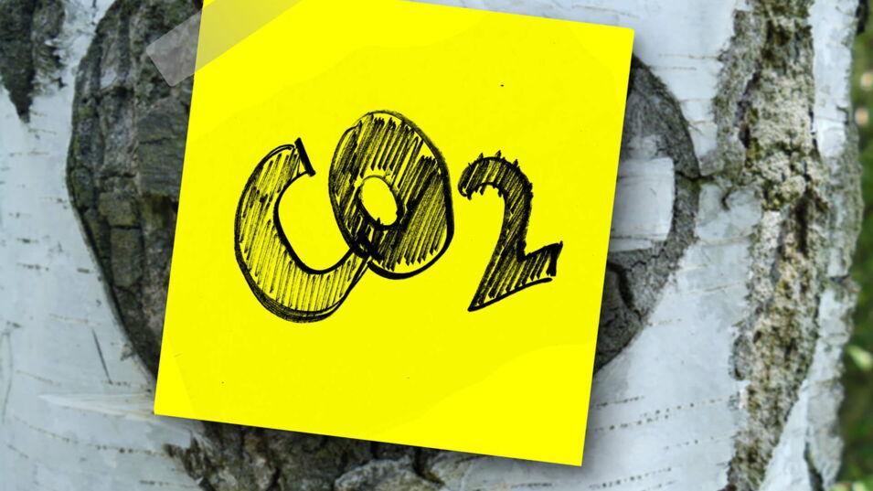 Ein gelbes Posit mit CO2 geschrieben an einem Baum