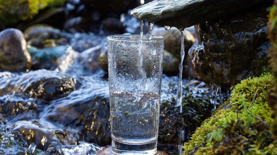 Quellwasser fließt in ein Glas welches auf einem Stein steht