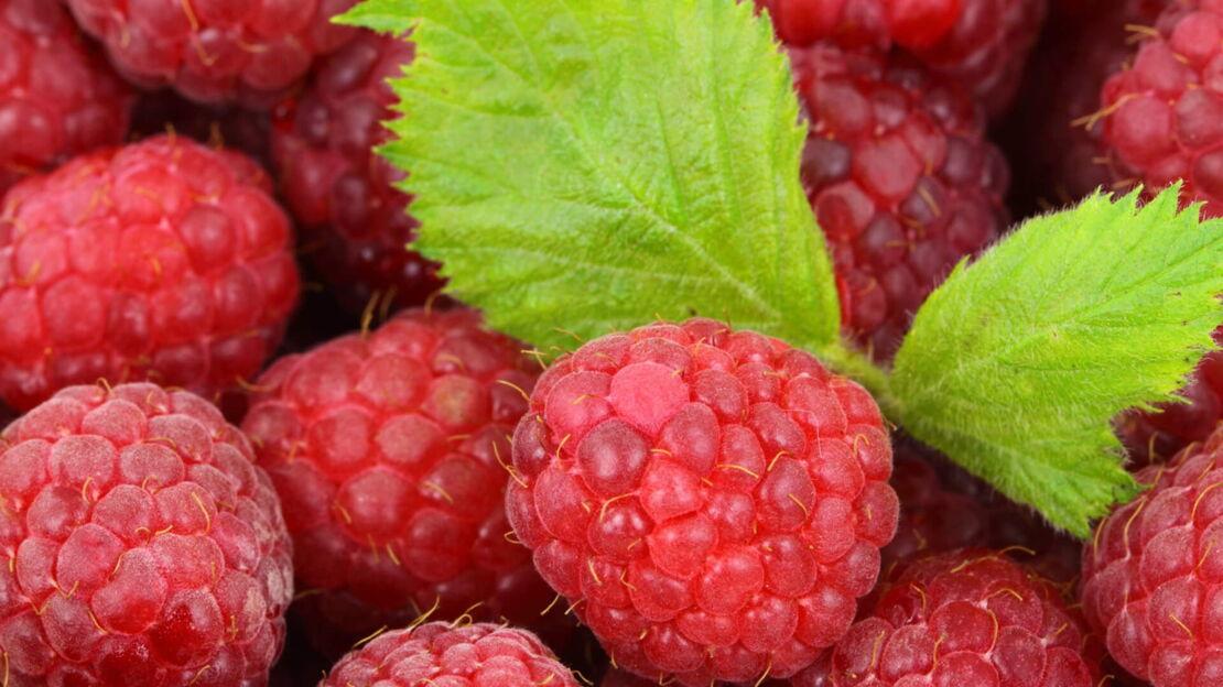 Himbeeren und ein Blatt