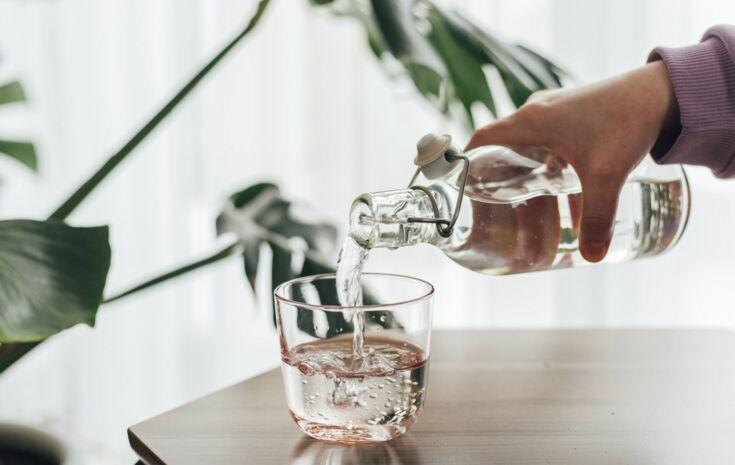 Eine Hand gießt klares Wasser aus einer Glasflasche in ein Glas auf einem Tisch, im Hintergrund sind grüne Blätter einer Zimmerpflanze zu sehen.
