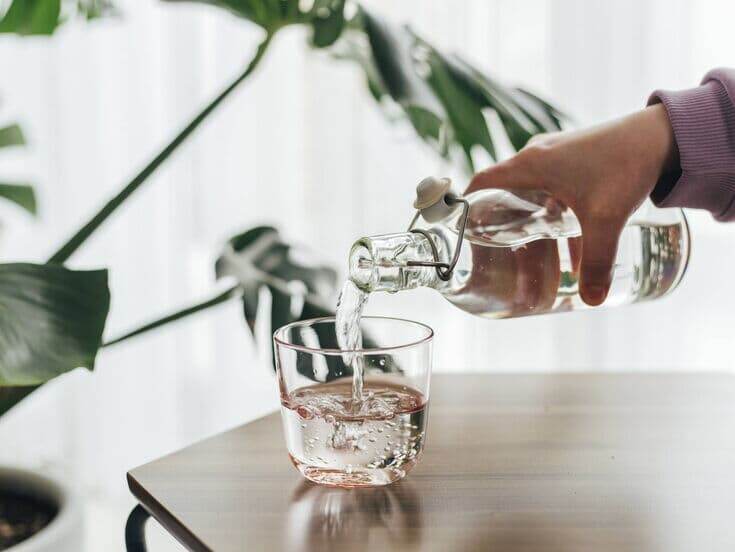 Eine Hand gießt klares Wasser aus einer Glasflasche in ein Glas auf einem Tisch, im Hintergrund sind grüne Blätter einer Zimmerpflanze zu sehen.