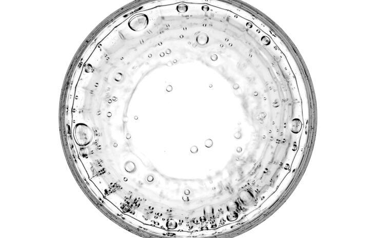 Mikroorganismus im Wasser unter dem Mikroskop