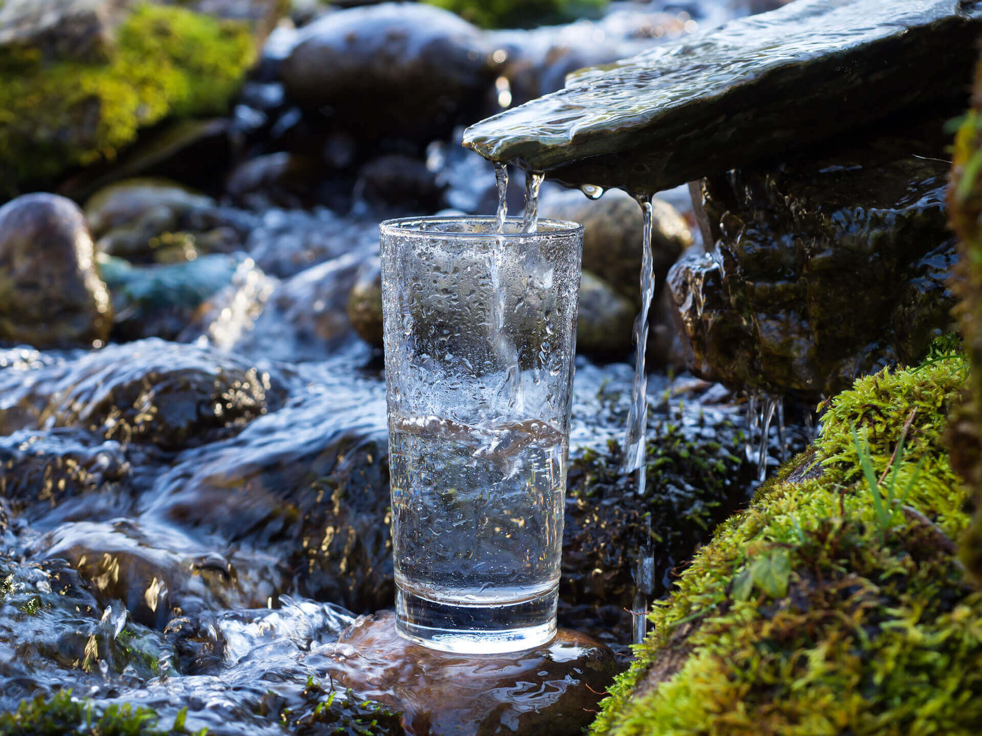 HeimQuell: Naturnahes Trinkwasser mit Quellwasser-Charakter