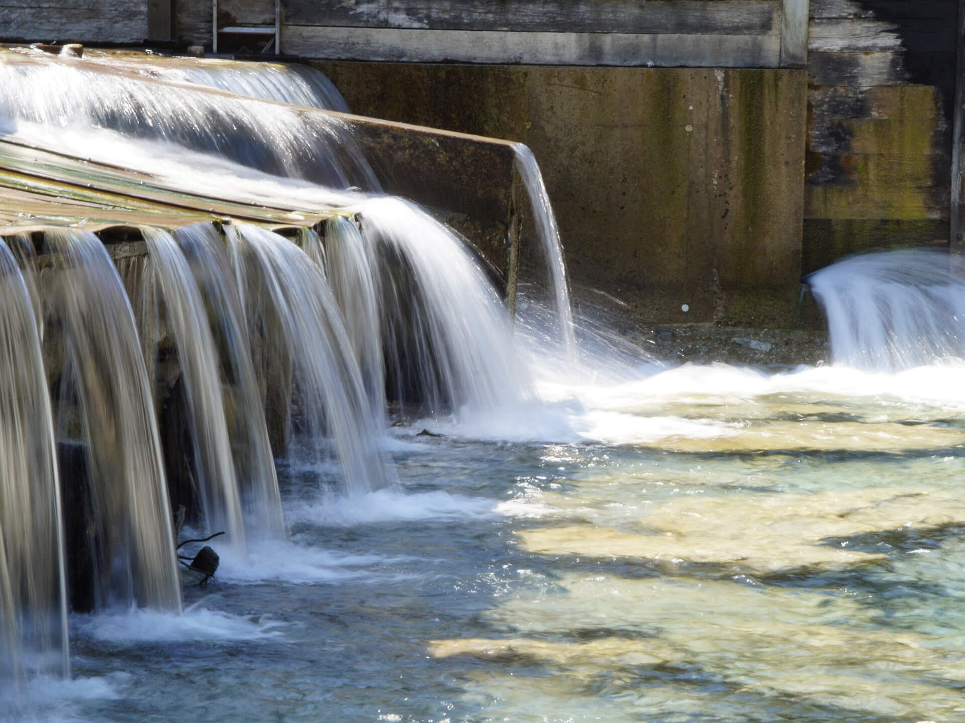 Der Weg des Wassers